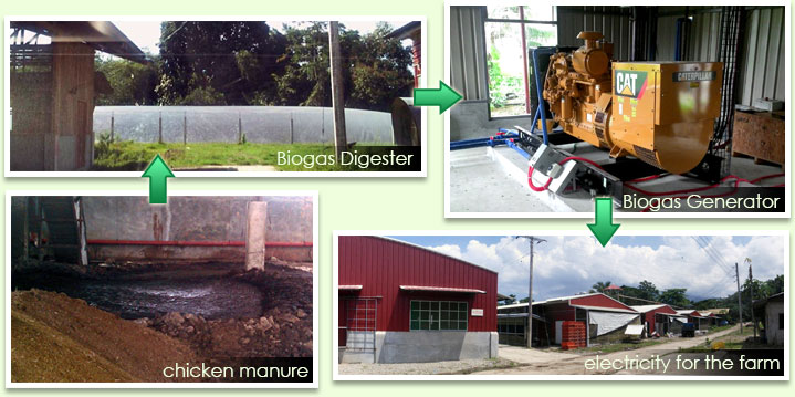 Myler's Biogas Digester